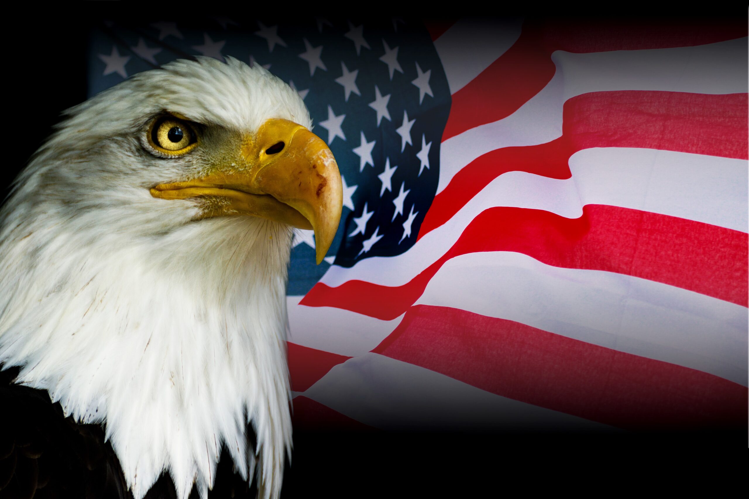 American Flag American Eagle .jpg